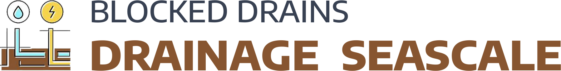 website logo